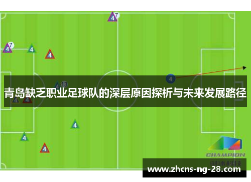 青岛缺乏职业足球队的深层原因探析与未来发展路径