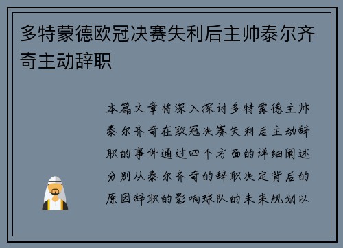 多特蒙德欧冠决赛失利后主帅泰尔齐奇主动辞职
