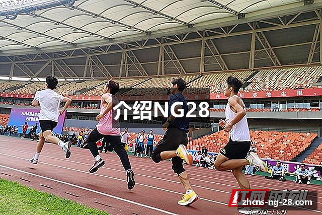 介绍NG28